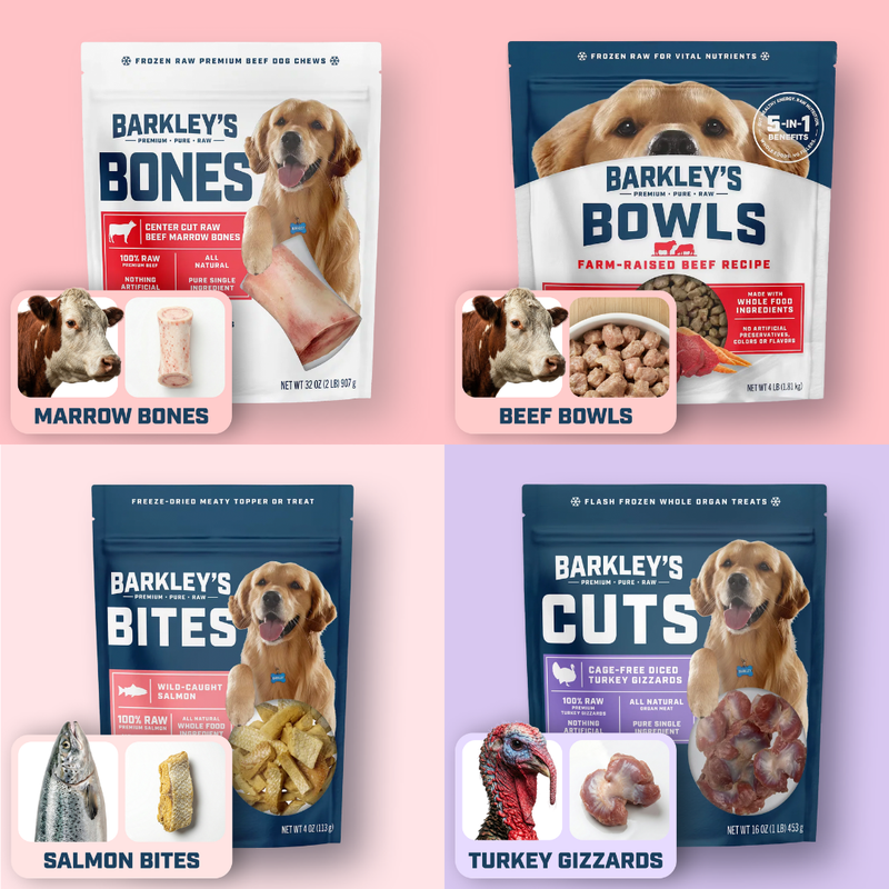Bundle & save up to 20% off