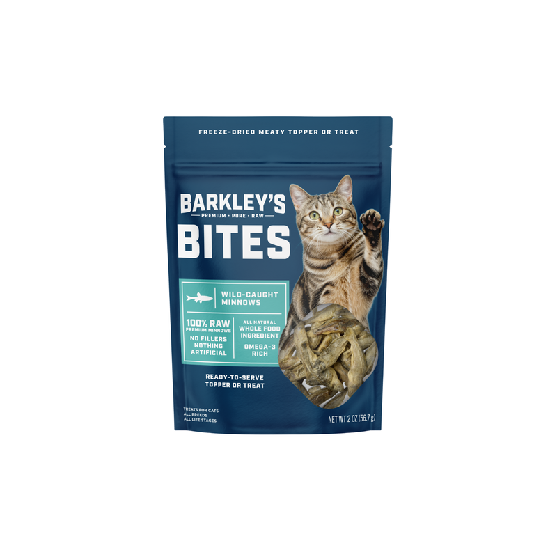 CAT BITES MINNOW