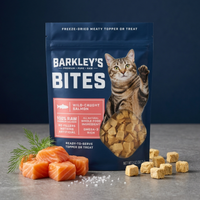 CAT BITES SALMON