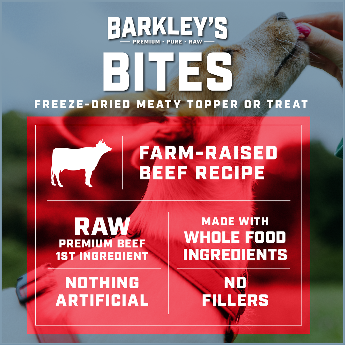 FARM-RAISED BEEF BITES
