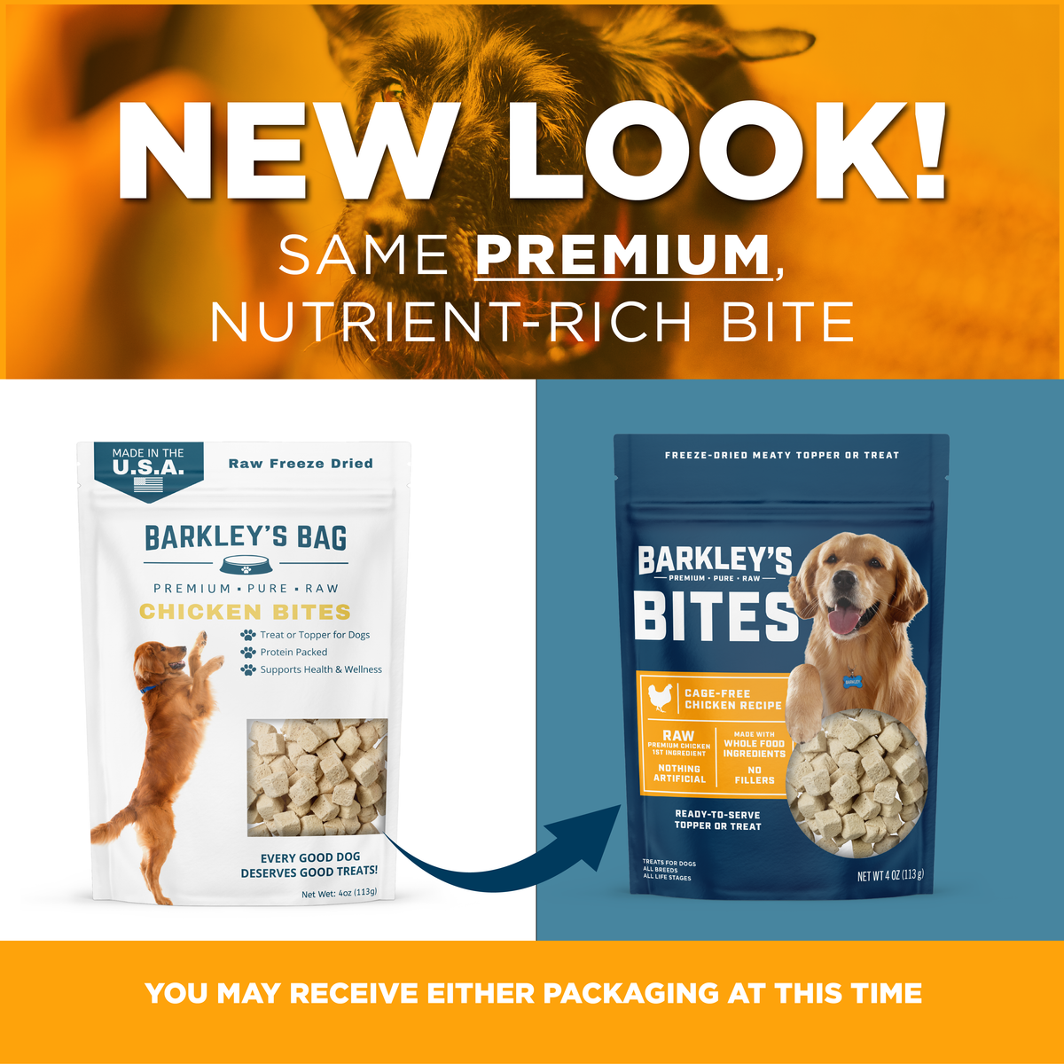 CAGE-FREE CHICKEN BITES