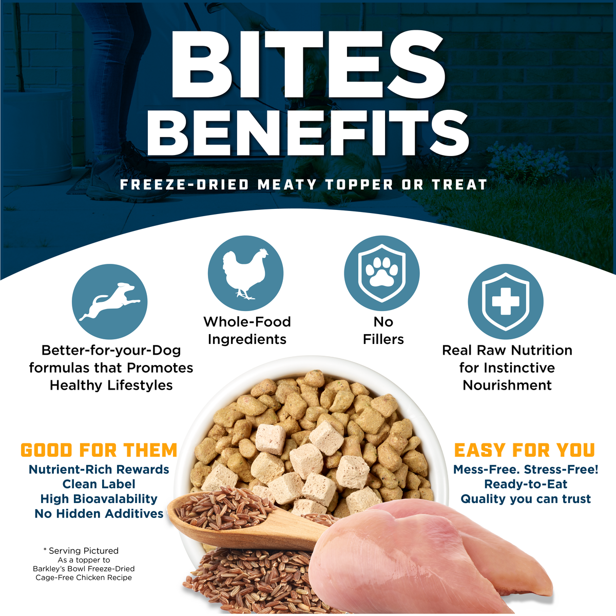CAGE-FREE CHICKEN BITES
