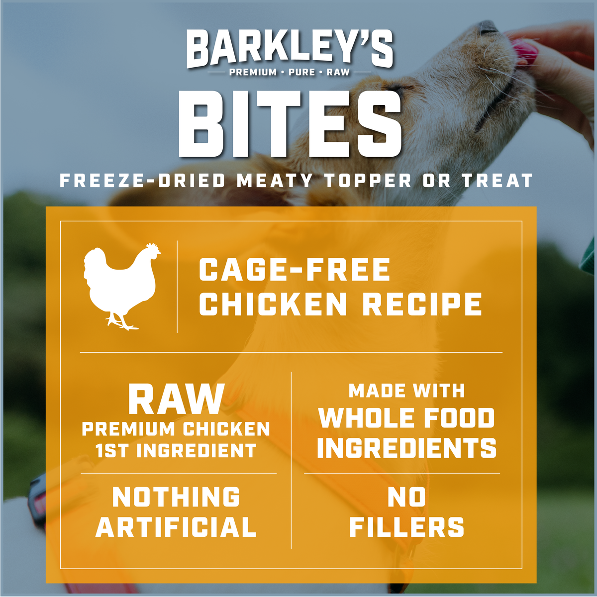 CAGE-FREE CHICKEN BITES