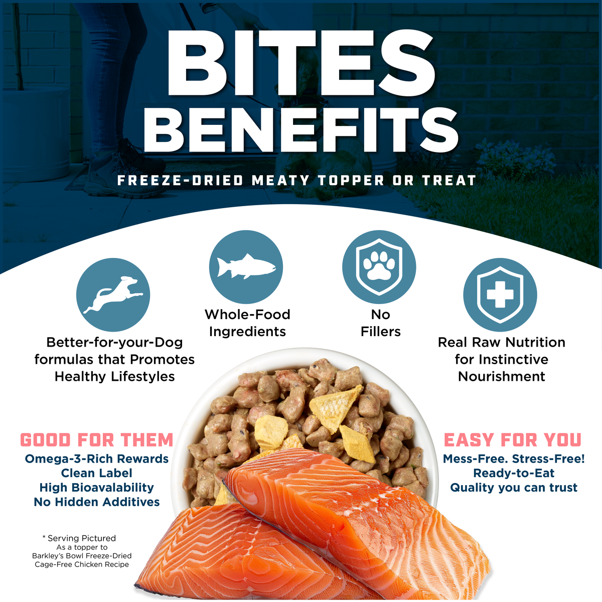 WILD-CAUGHT SALMON BITES