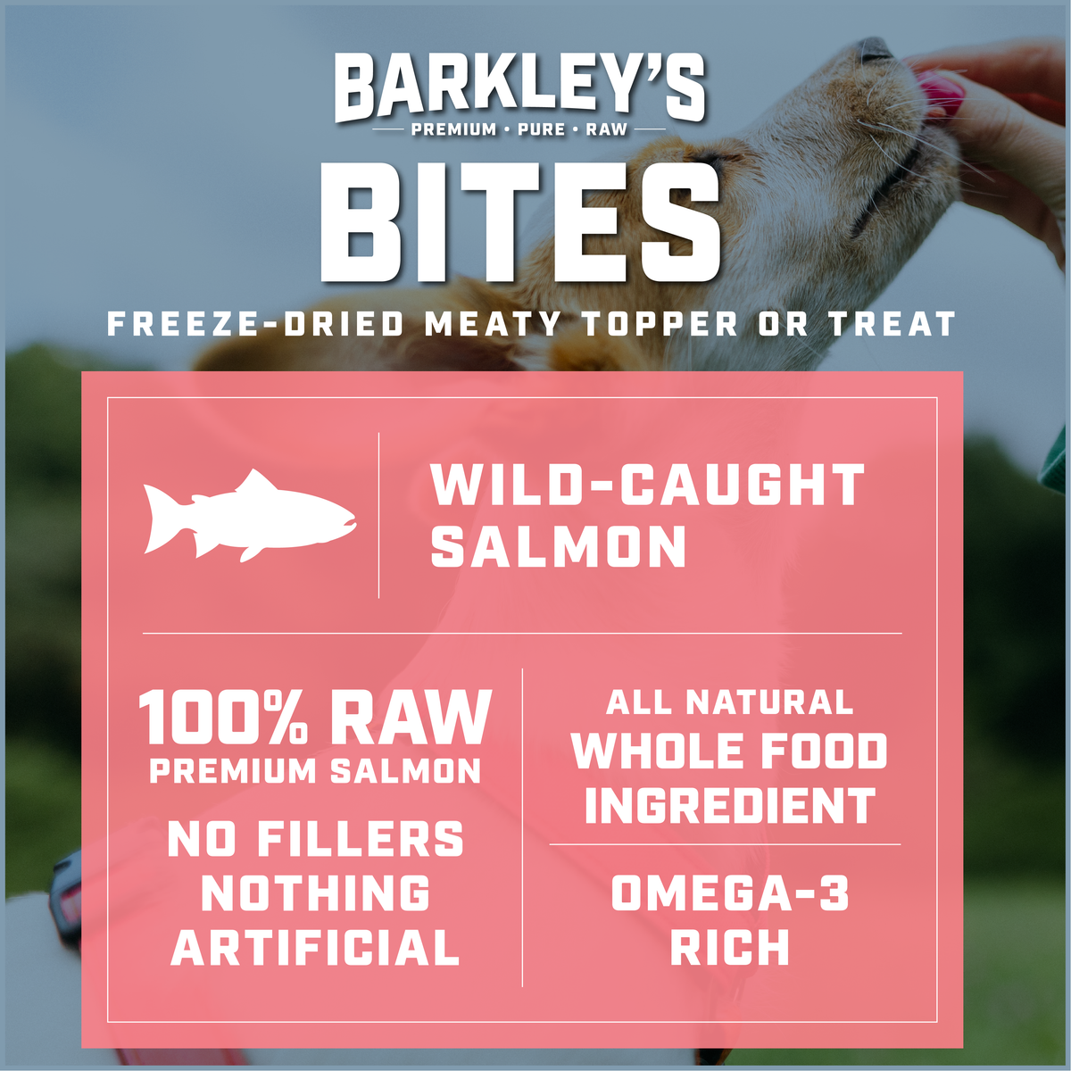 WILD-CAUGHT SALMON BITES