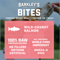 WILD-CAUGHT SALMON BITES