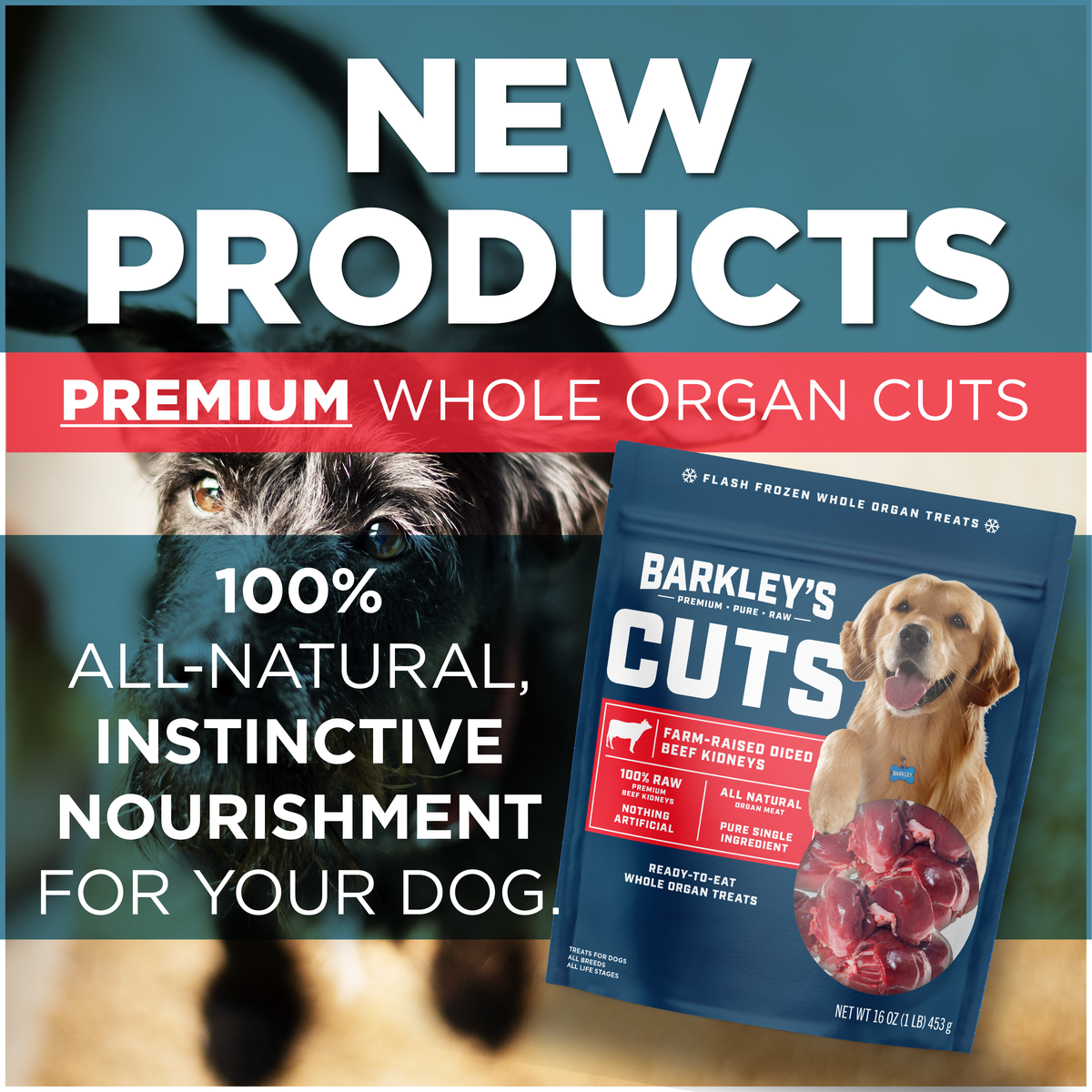FARM-RAISED DICED BEEF KIDNEYS