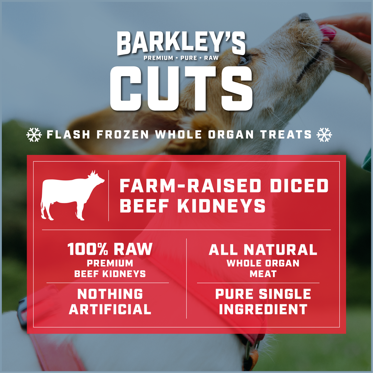 FARM-RAISED DICED BEEF KIDNEYS