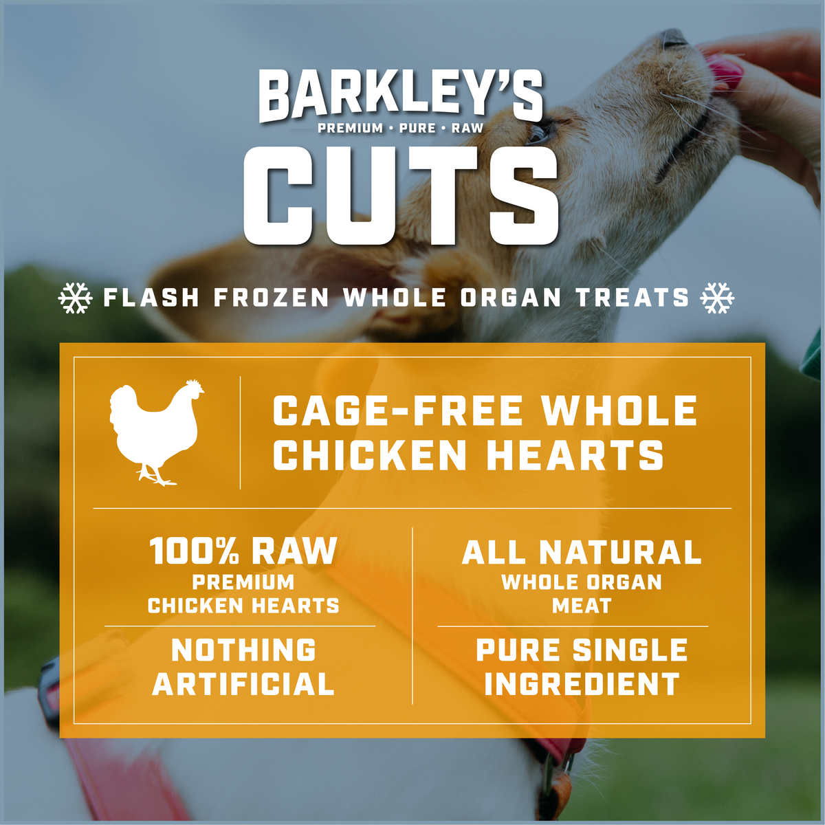 CAGE-FREE WHOLE CHICKEN HEARTS