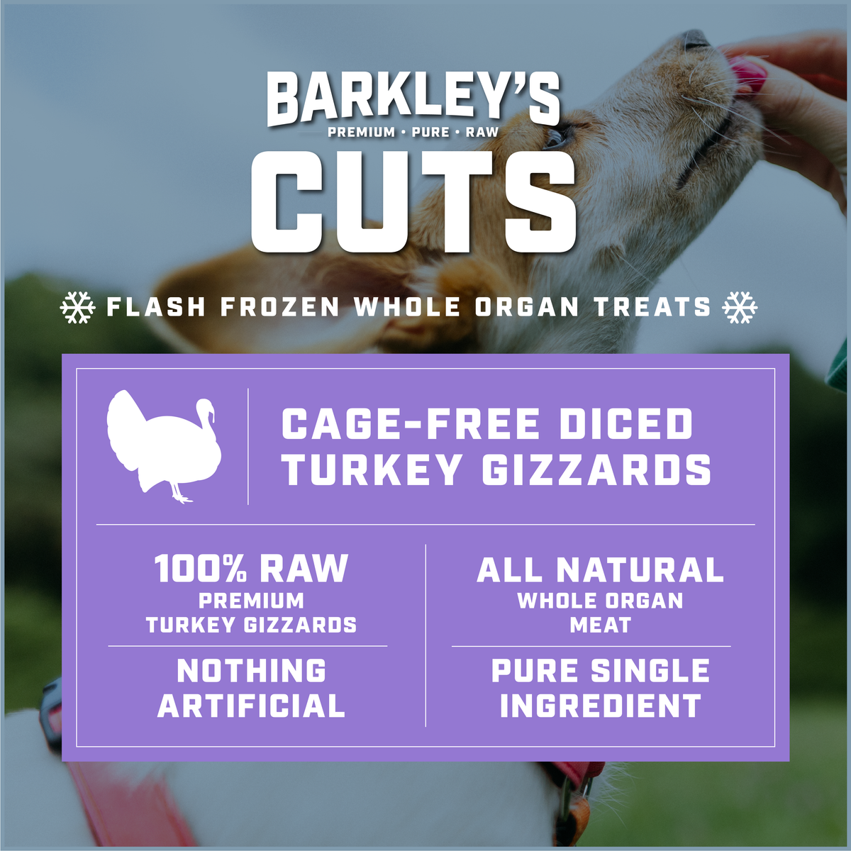 CAGE-FREE DICED TURKEY GIZZARDS