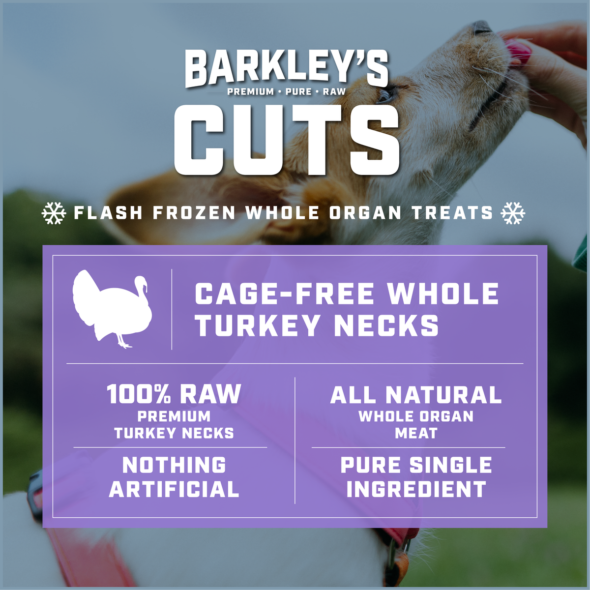 CAGE-FREE WHOLE TURKEY NECKS
