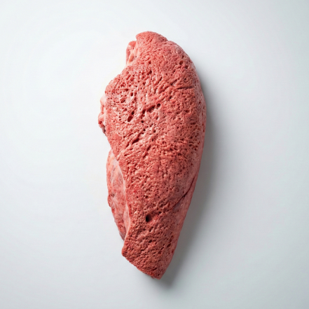 Beef Lung
