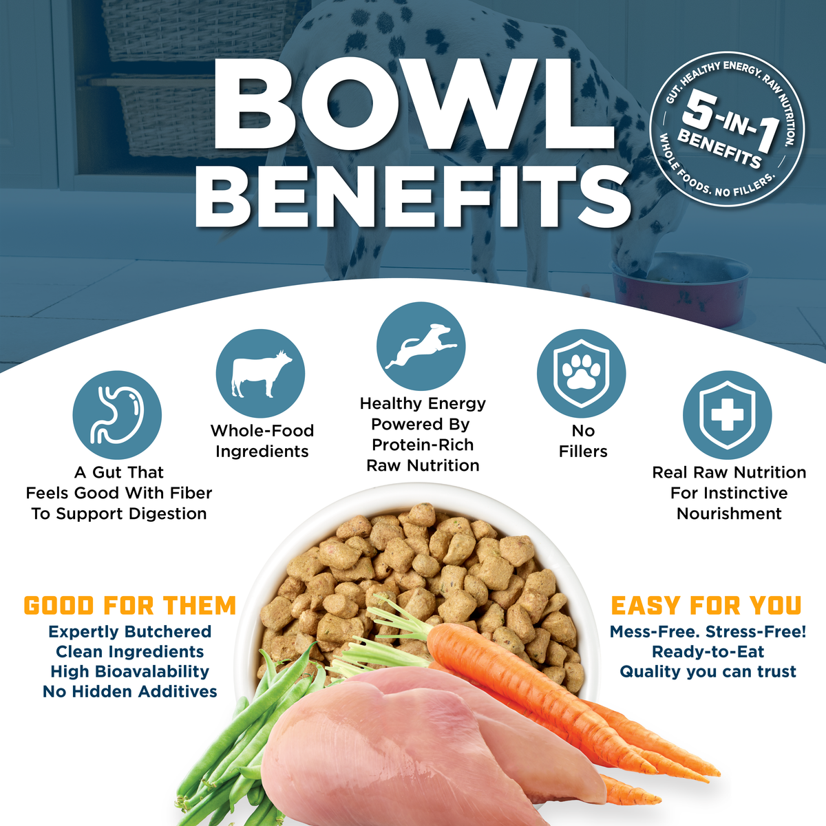 FREEZE DRIED TOPPER CAGE-FREE CHICKEN RECIPE