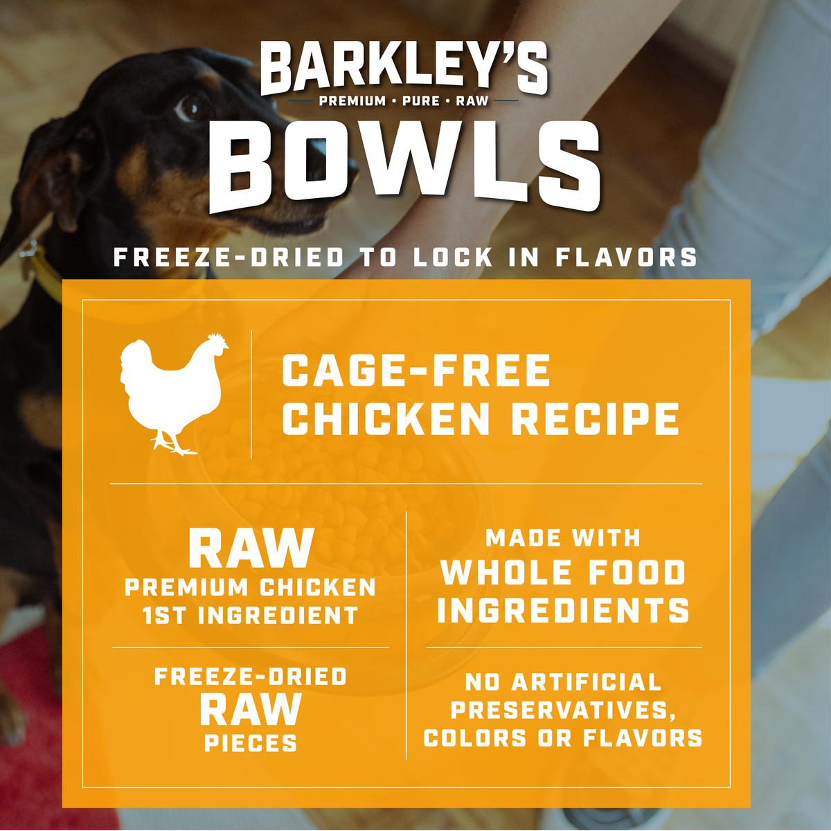 FREEZE DRIED TOPPER CAGE-FREE CHICKEN RECIPE