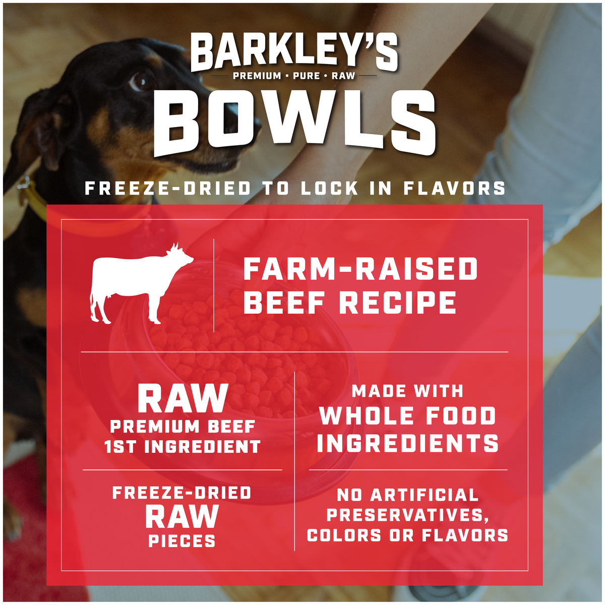 FREEZE DRIED TOPPER FARM RAISED BEEF RECIPE