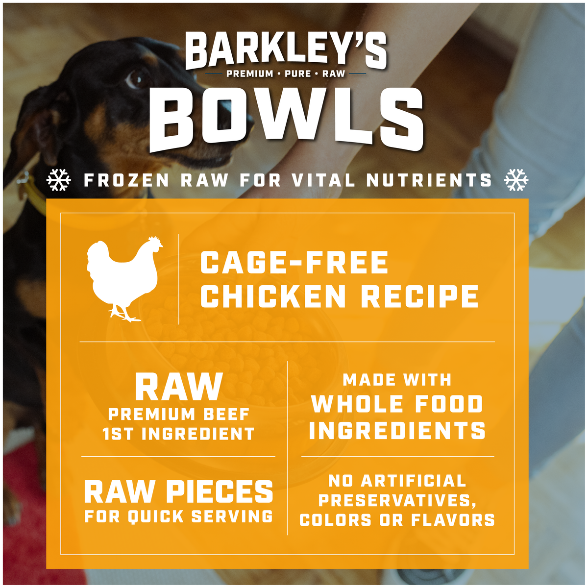 FROZEN CAGE-FREE CHICKEN RECIPE