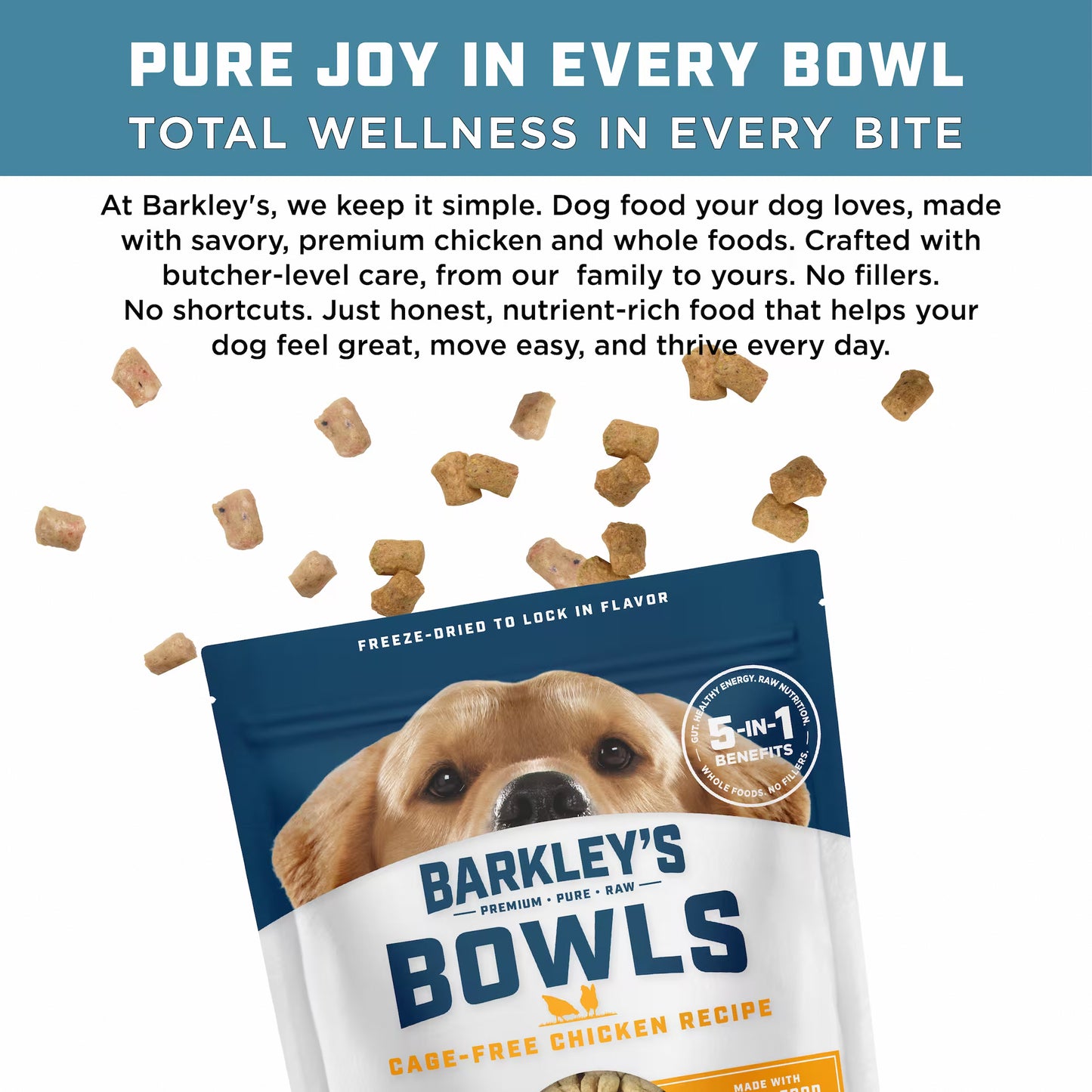 CAGE-FREE CHICKEN RECIPE