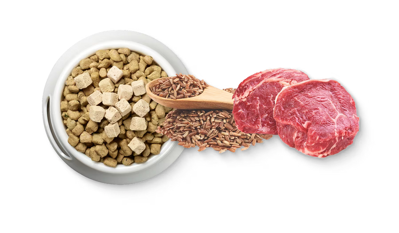 FARM-RAISED BEEF BITES