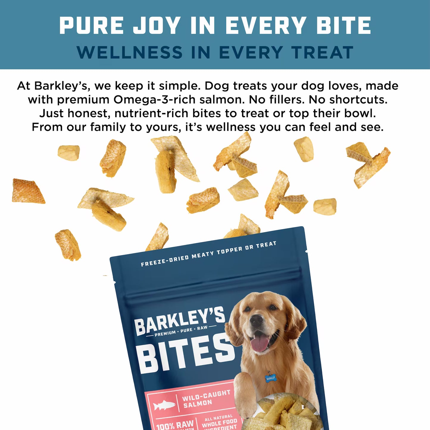 WILD-CAUGHT SALMON (Dog)