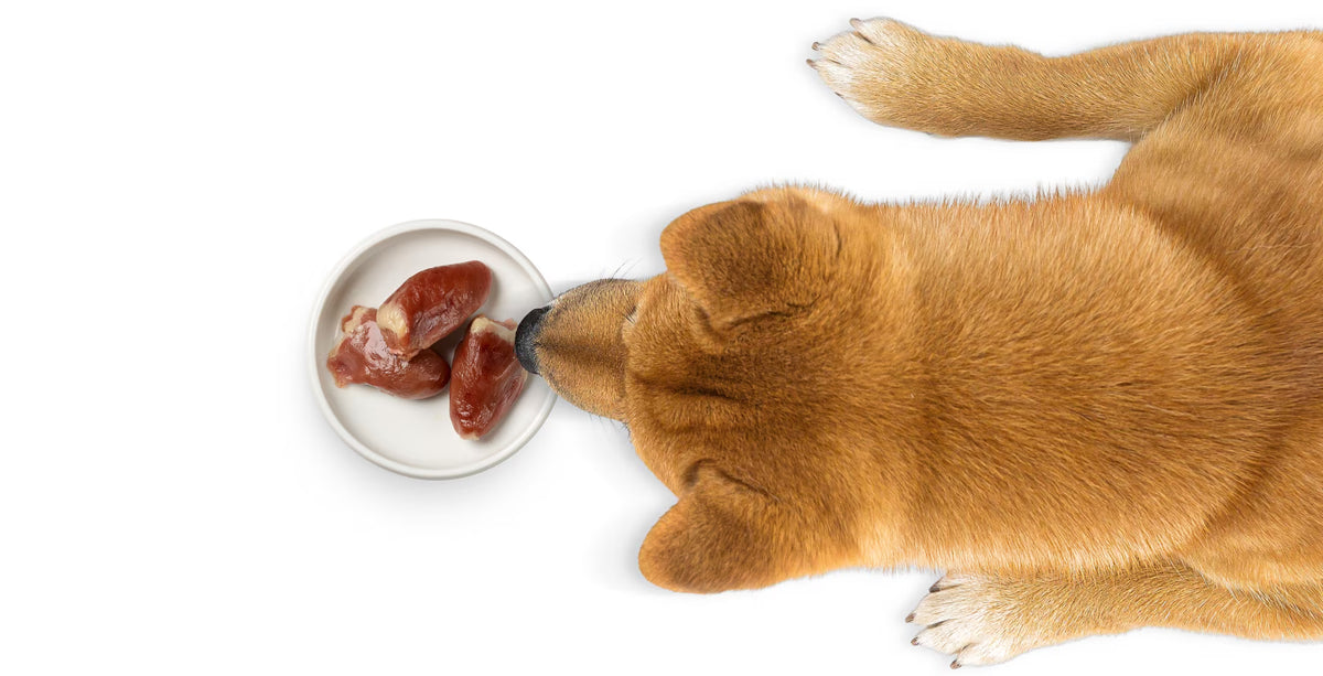 CAGE-FREE DICED TURKEY HEARTS