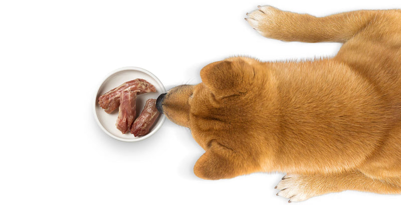 CAGE-FREE WHOLE TURKEY NECKS