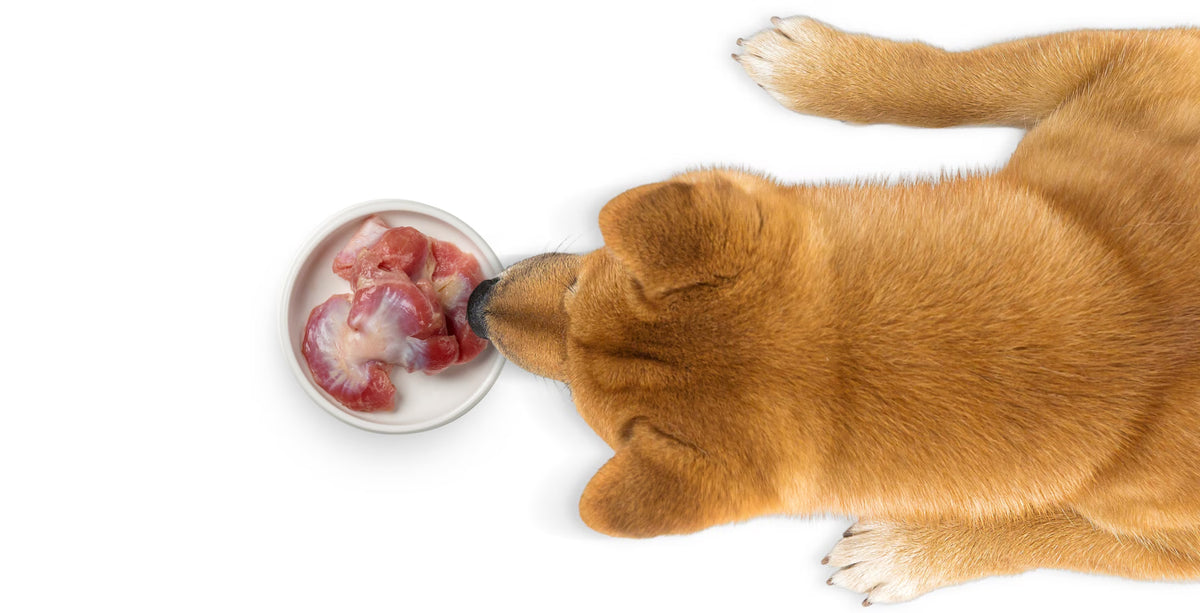 CAGE-FREE WHOLE CHICKEN GIZZARDS