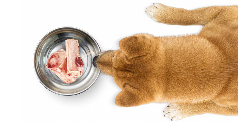 CENTER CUT RAW BEEF MARROW BONES