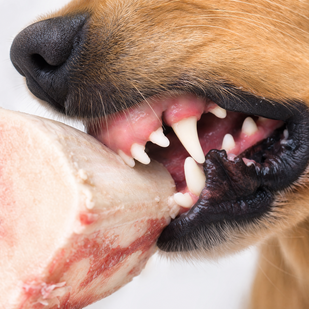 Supports dental health