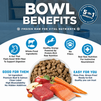 FROZEN BEEF & WILD-CAUGHT SALMON RECIPE
