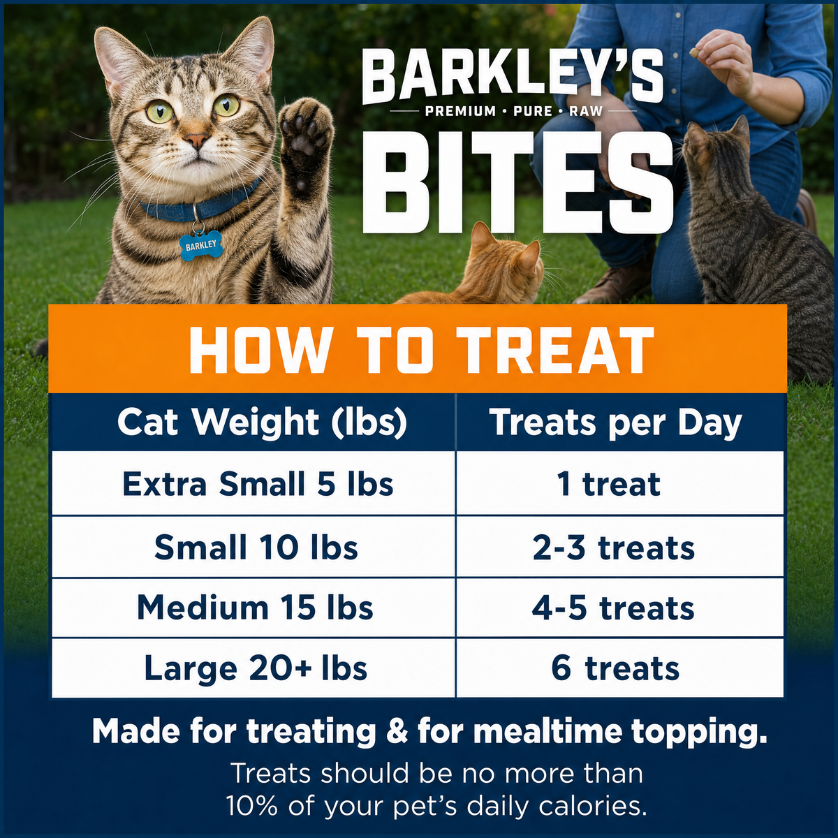 CAT BITES CHICKEN