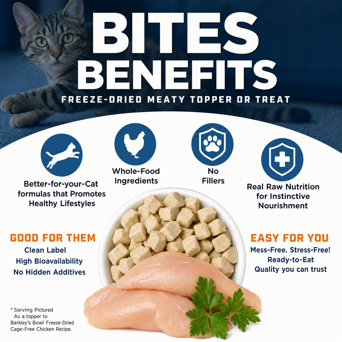 CAT BITES CHICKEN