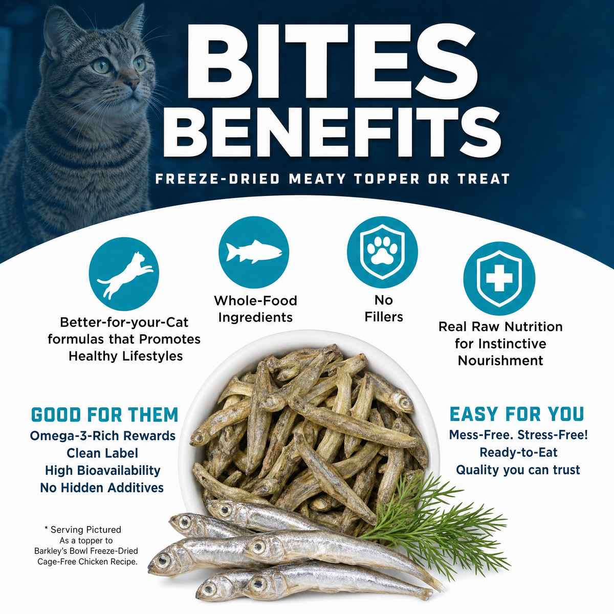 CAT BITES MINNOW
