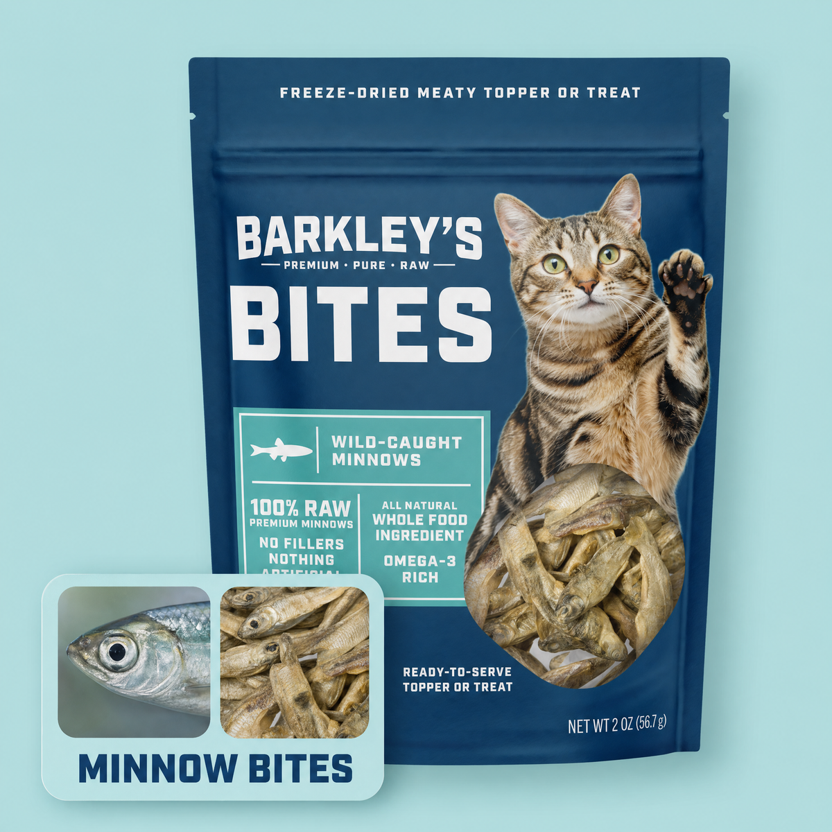 CAT BITES MINNOW