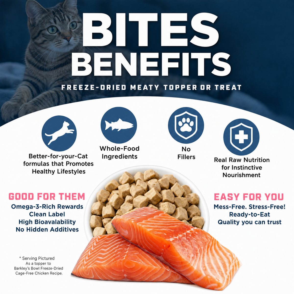 CAT BITES SALMON