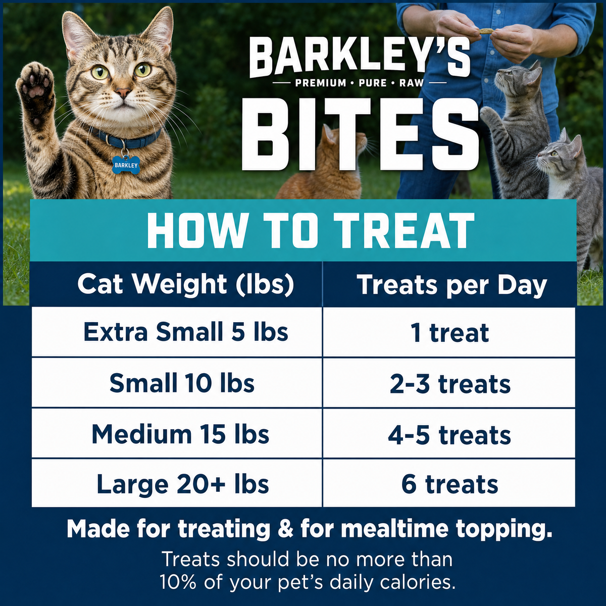 CAT BITES MINNOW