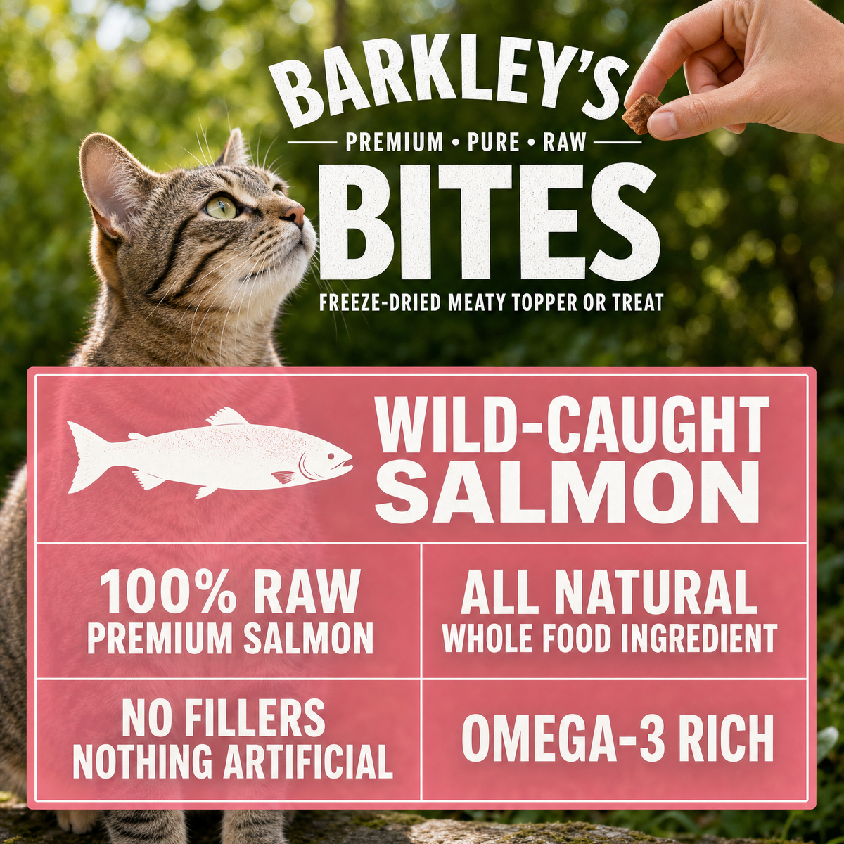CAT BITES SALMON