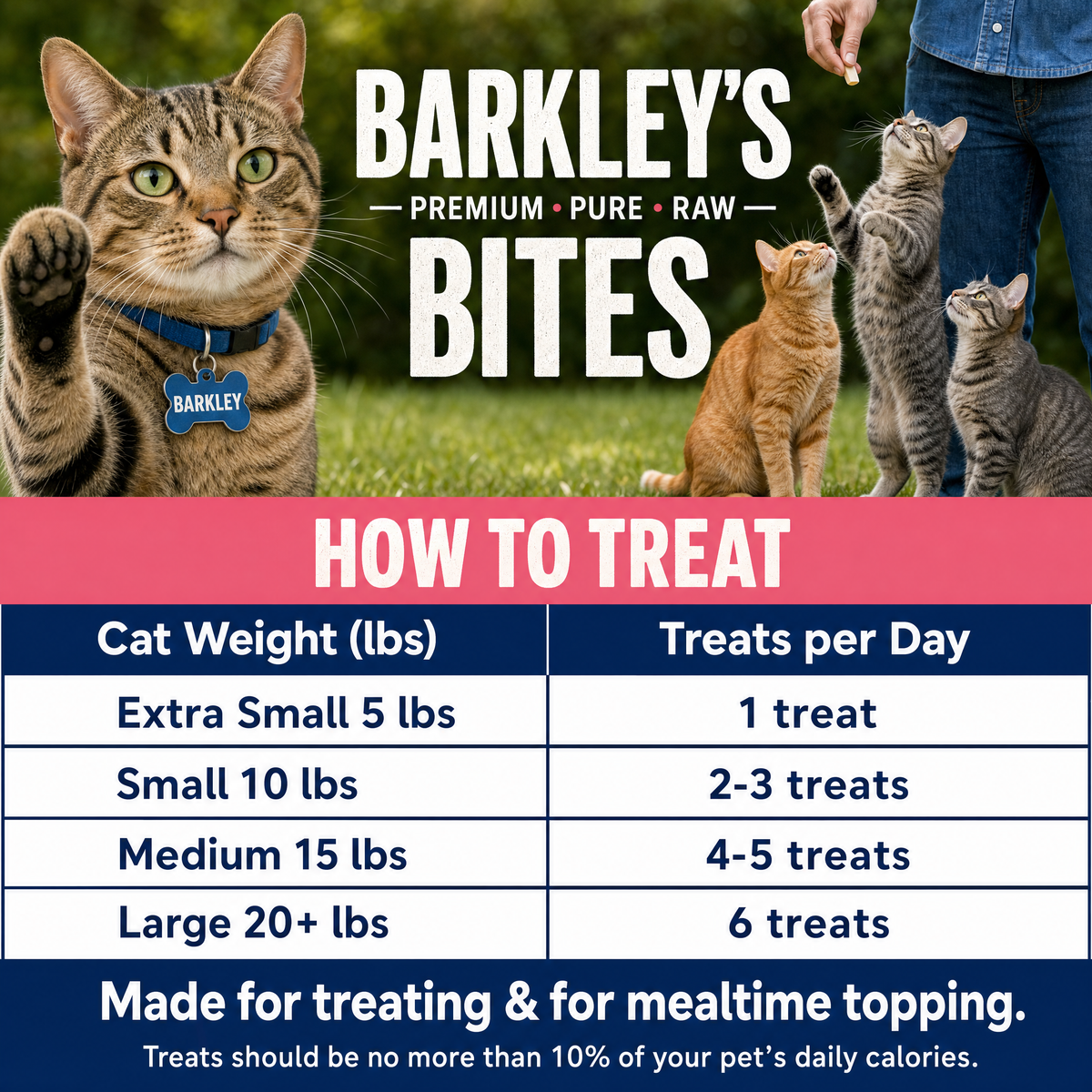 CAT BITES SALMON