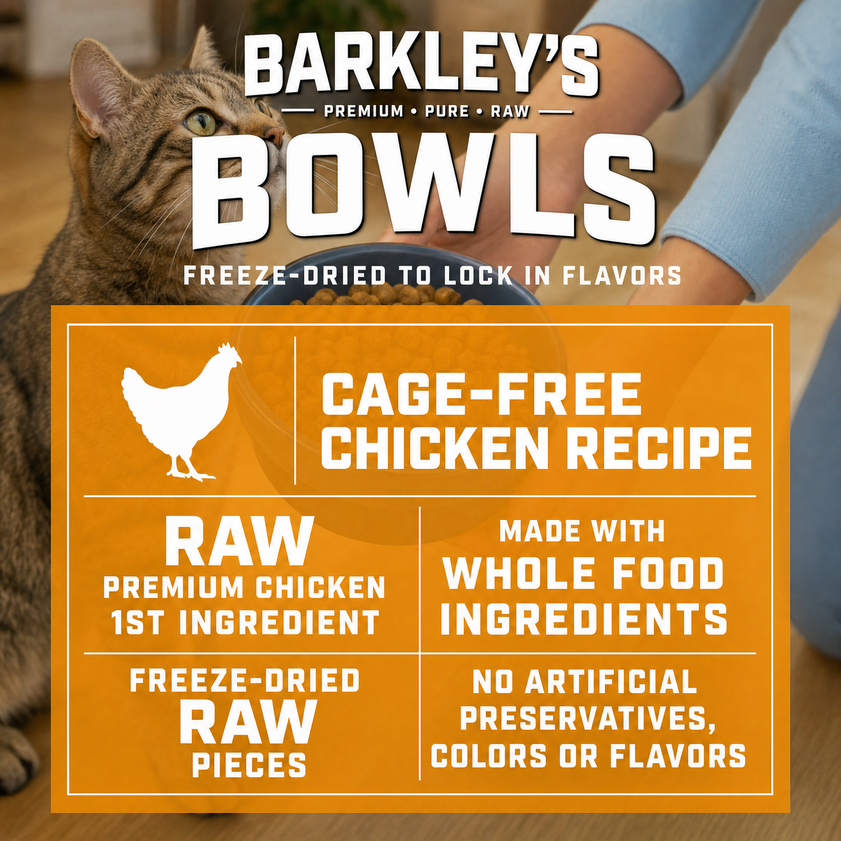 CAT FREEZE DRIED CHICKEN