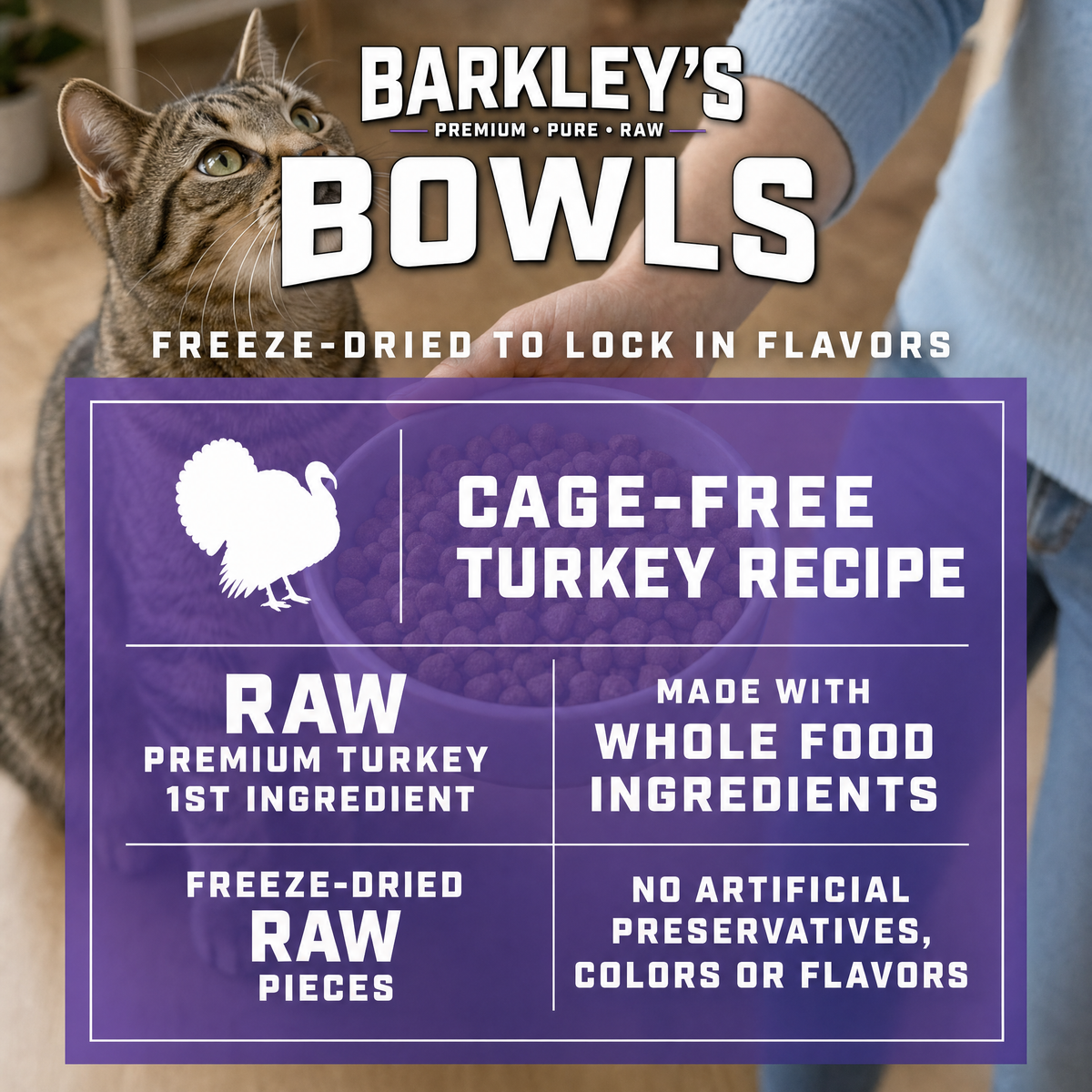CAT FREEZE DRIED TURKEY