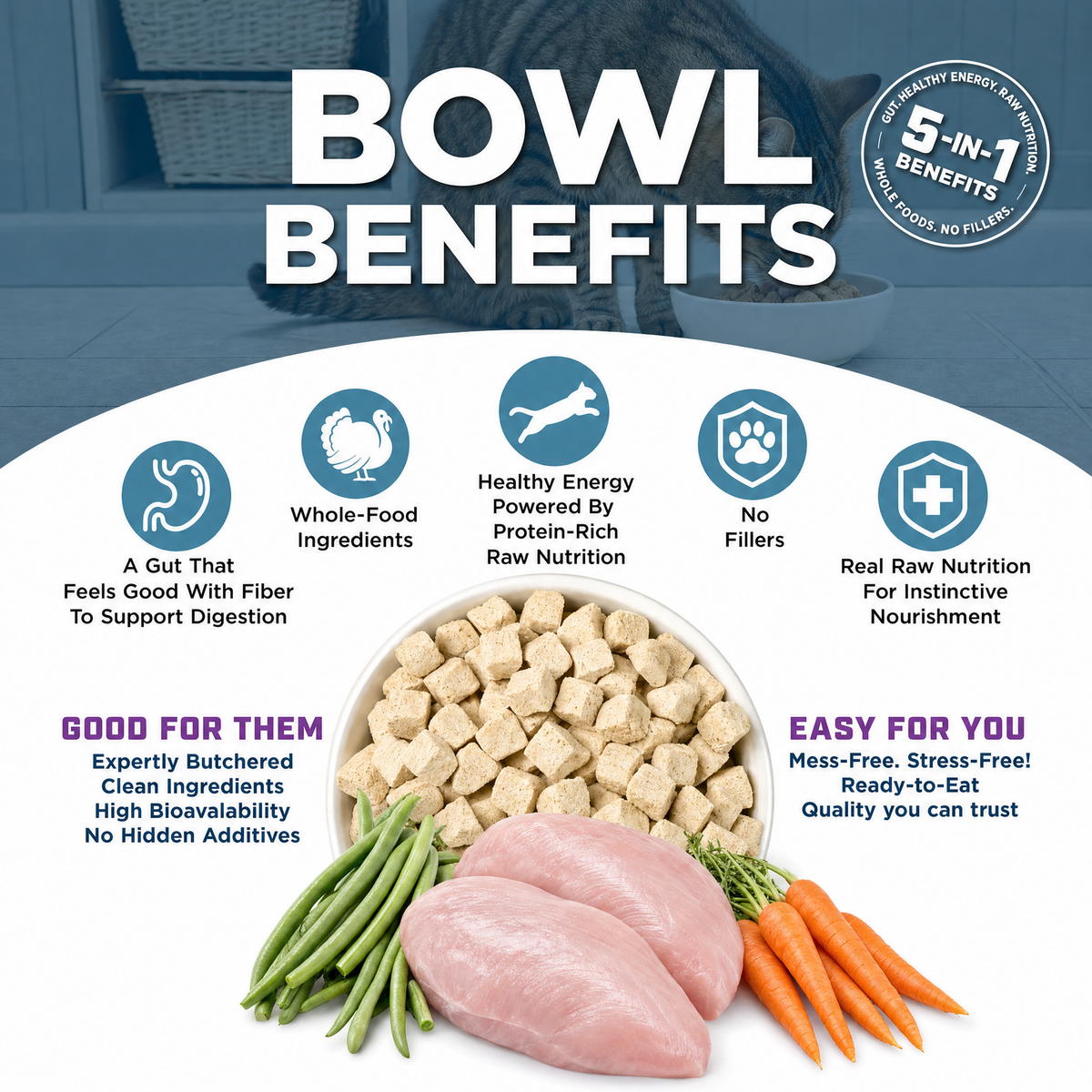 CAT FREEZE DRIED TURKEY