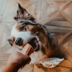 Beef Marrow Bones - Image 13