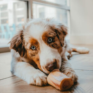 Beef Marrow Bones - Image 14